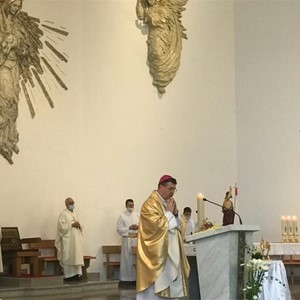 Uvod i homilija pomoćnog biskupa zagrebačkog mons. Ivana Šaška na Nedjelju Božjega milosrđa